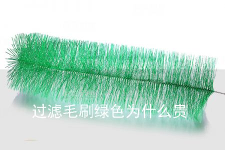 過濾毛刷綠色為什么貴 過濾毛刷綠色為什么貴