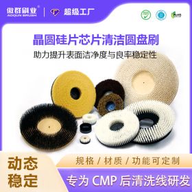 晶圓硅片芯片清潔圓盤(pán)刷 晶圓硅片芯片清潔圓盤(pán)刷