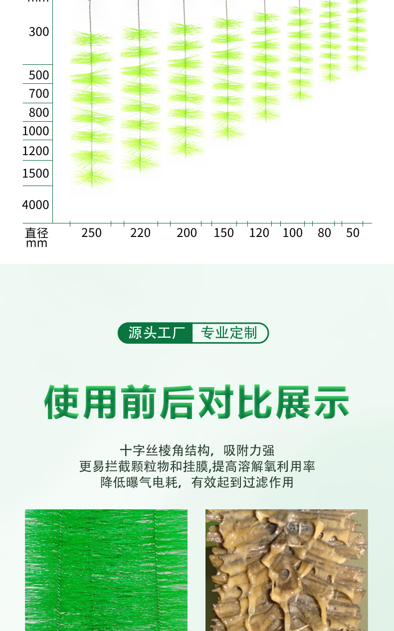 蝦蟹過濾毛刷07