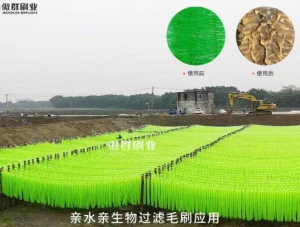 親生物親水過(guò)濾毛刷 親生物親水過(guò)濾毛刷