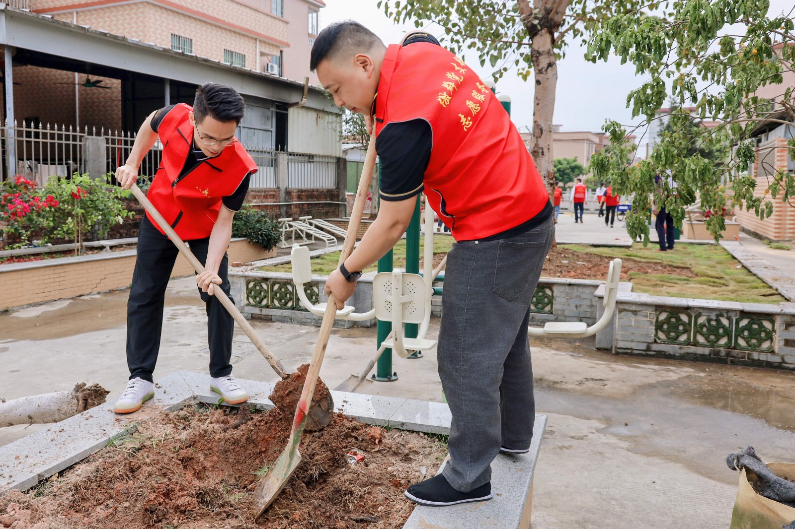 1773796749279989.jpg 1773796749279989.jpg