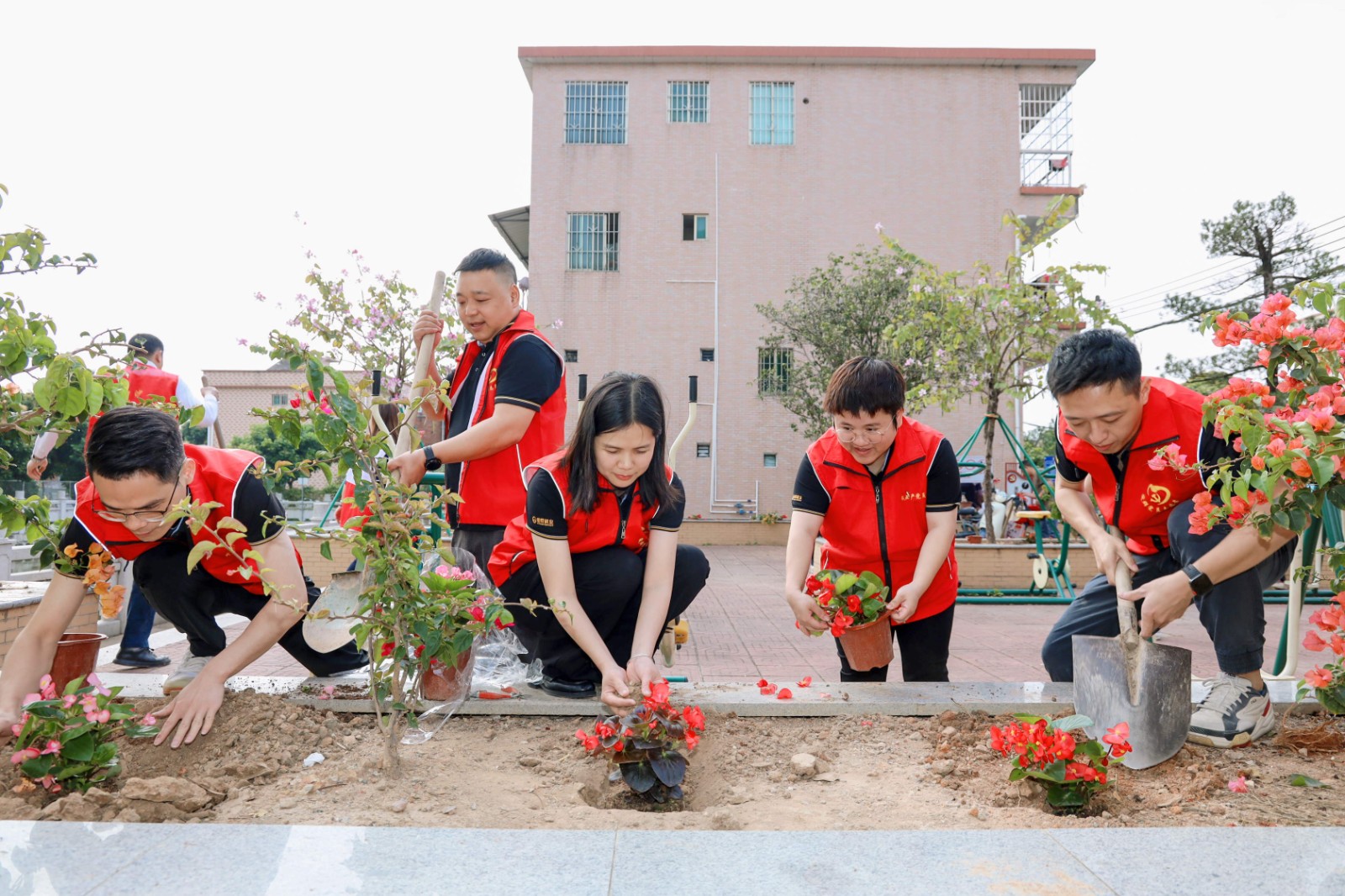 1773796749774431.jpg 1773796749774431.jpg