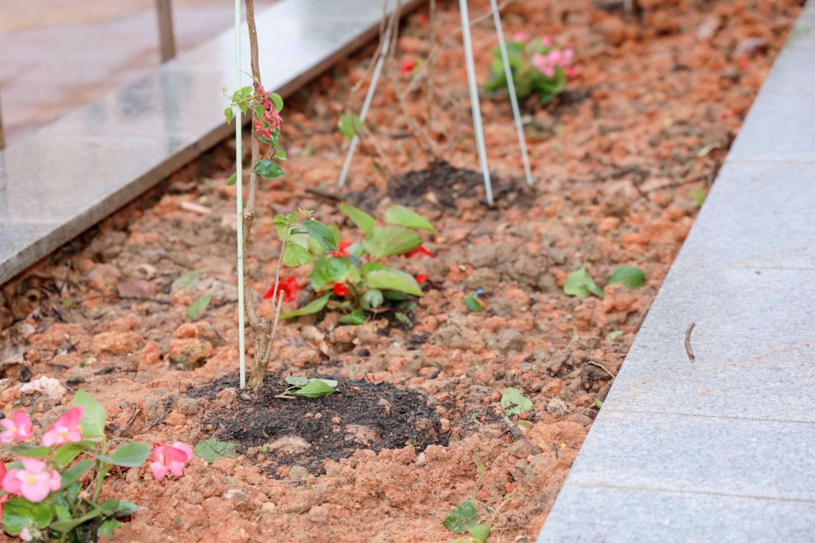 1773796750889579.jpg 1773796750889579.jpg